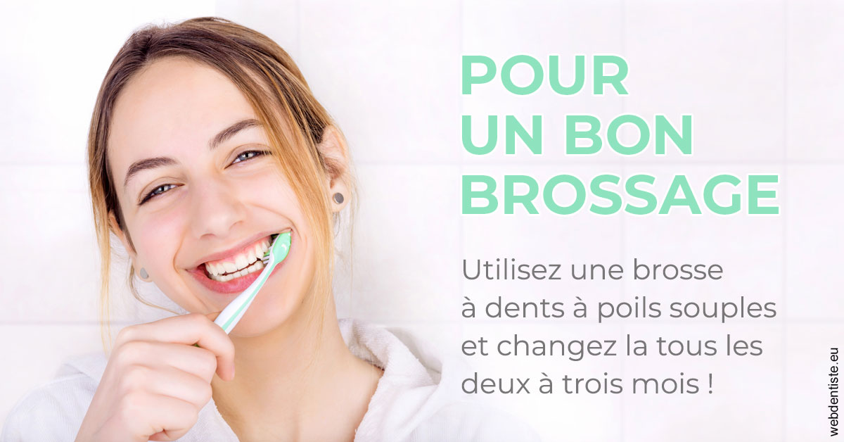 https://www.dentiste-saffar.fr/Pour un bon brossage 2