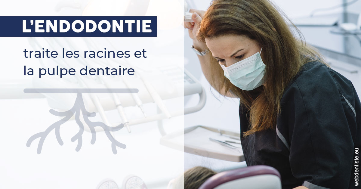 https://www.dentiste-saffar.fr/L'endodontie 1