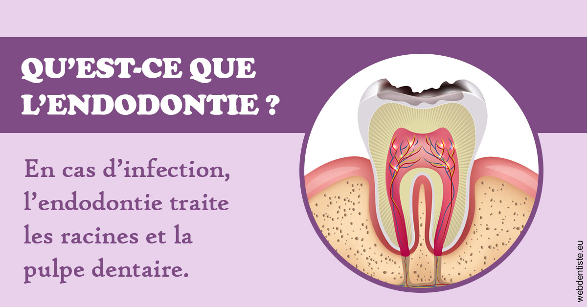 https://www.dentiste-saffar.fr/2024 T1 - Endodontie 02