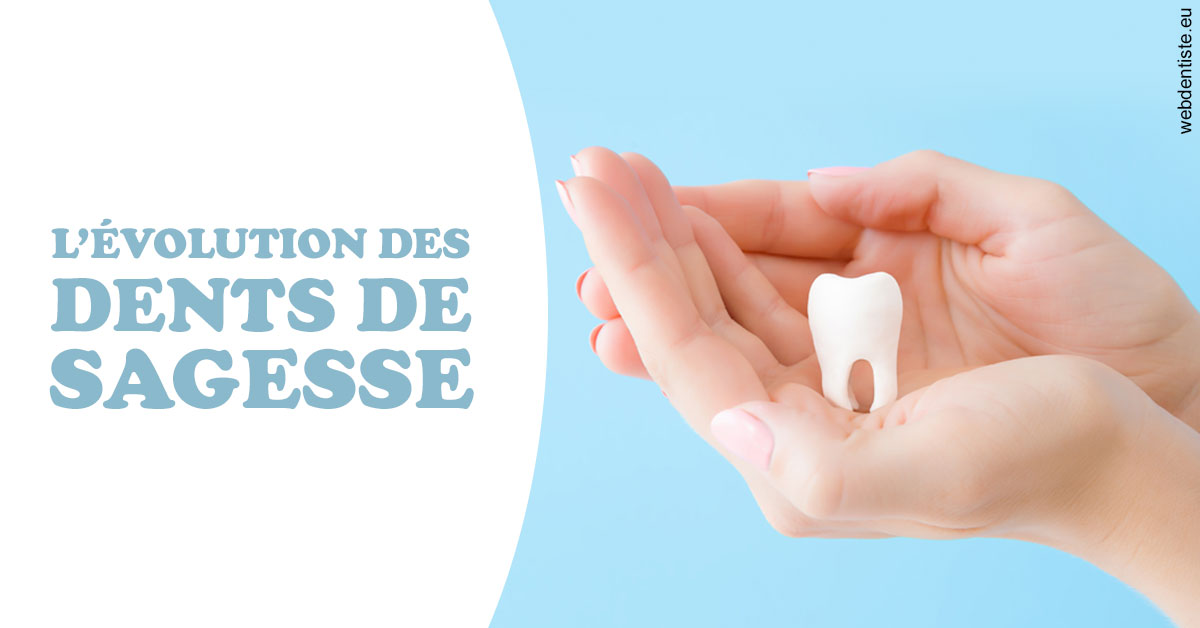 https://www.dentiste-saffar.fr/Evolution dents de sagesse 1