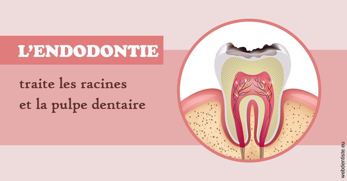 https://www.dentiste-saffar.fr/L'endodontie 2