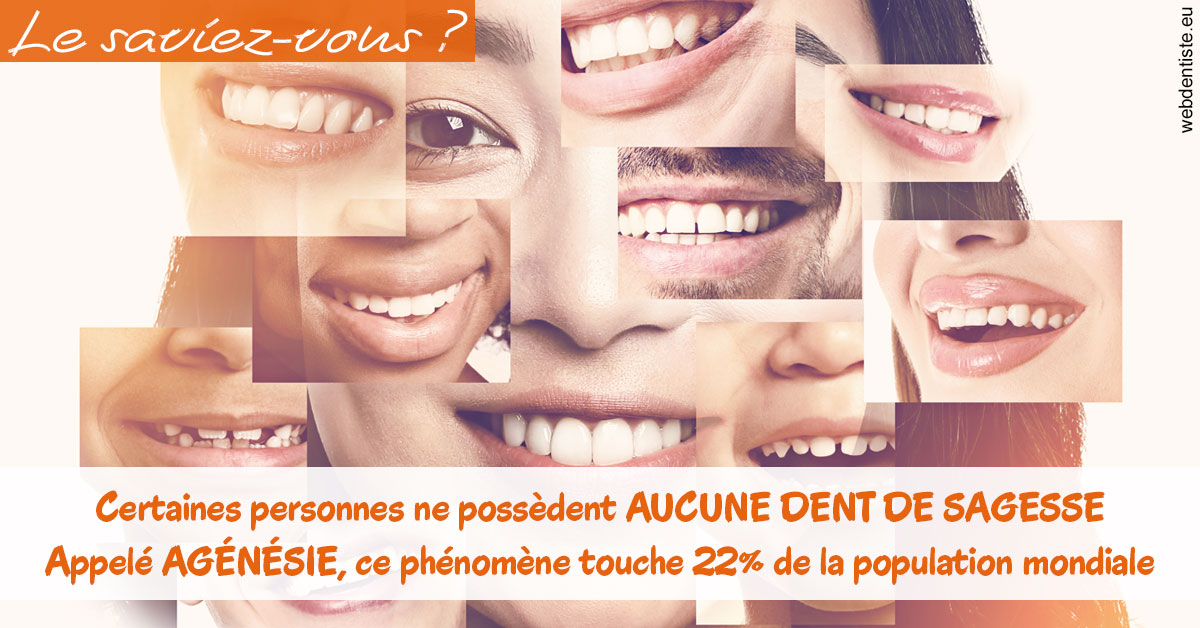 https://www.dentiste-saffar.fr/Agénésie 2