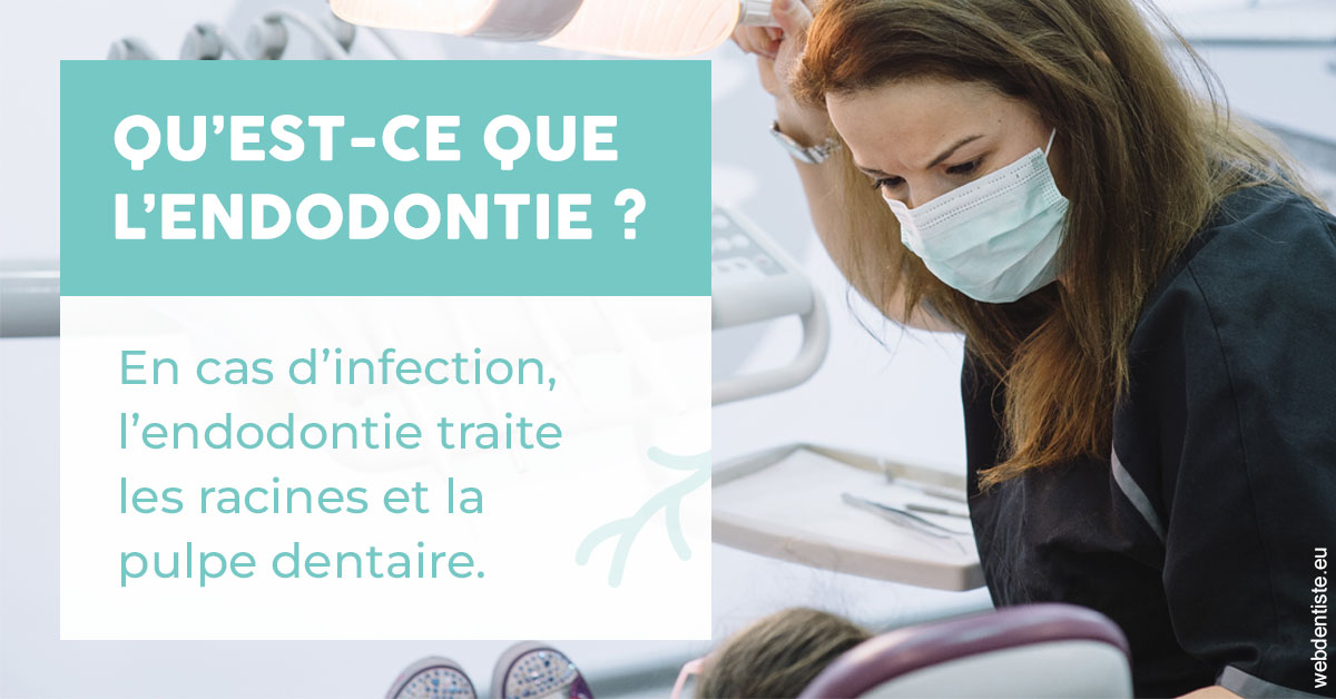 https://www.dentiste-saffar.fr/2024 T1 - Endodontie 01
