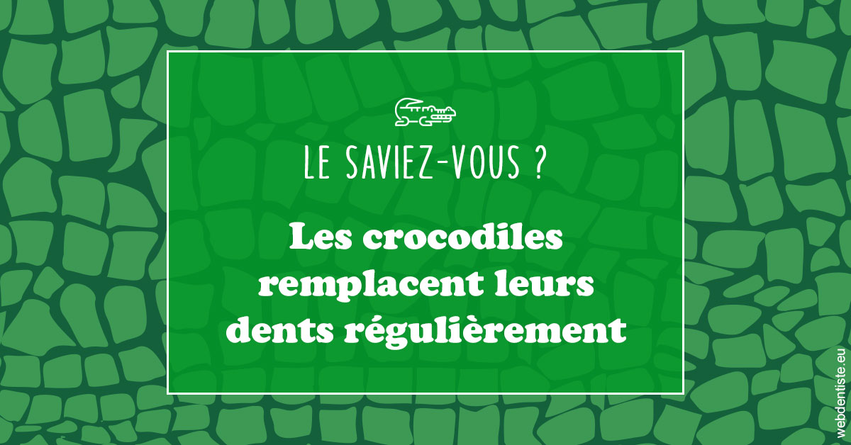 https://www.dentiste-saffar.fr/Crocodiles 1